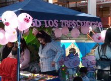 DSCF4927.JPG