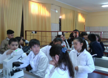 TALLER DE CIENCIAS